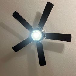 Ceiling Fan With Light 42”