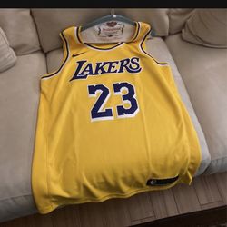 Large Lebron James Jersey Brand New