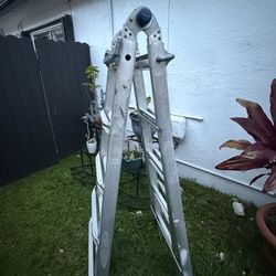 16 Ft Extended Ladder