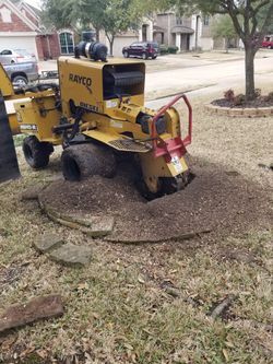 Stump Grinding
