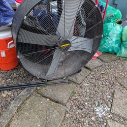 Big Fan 