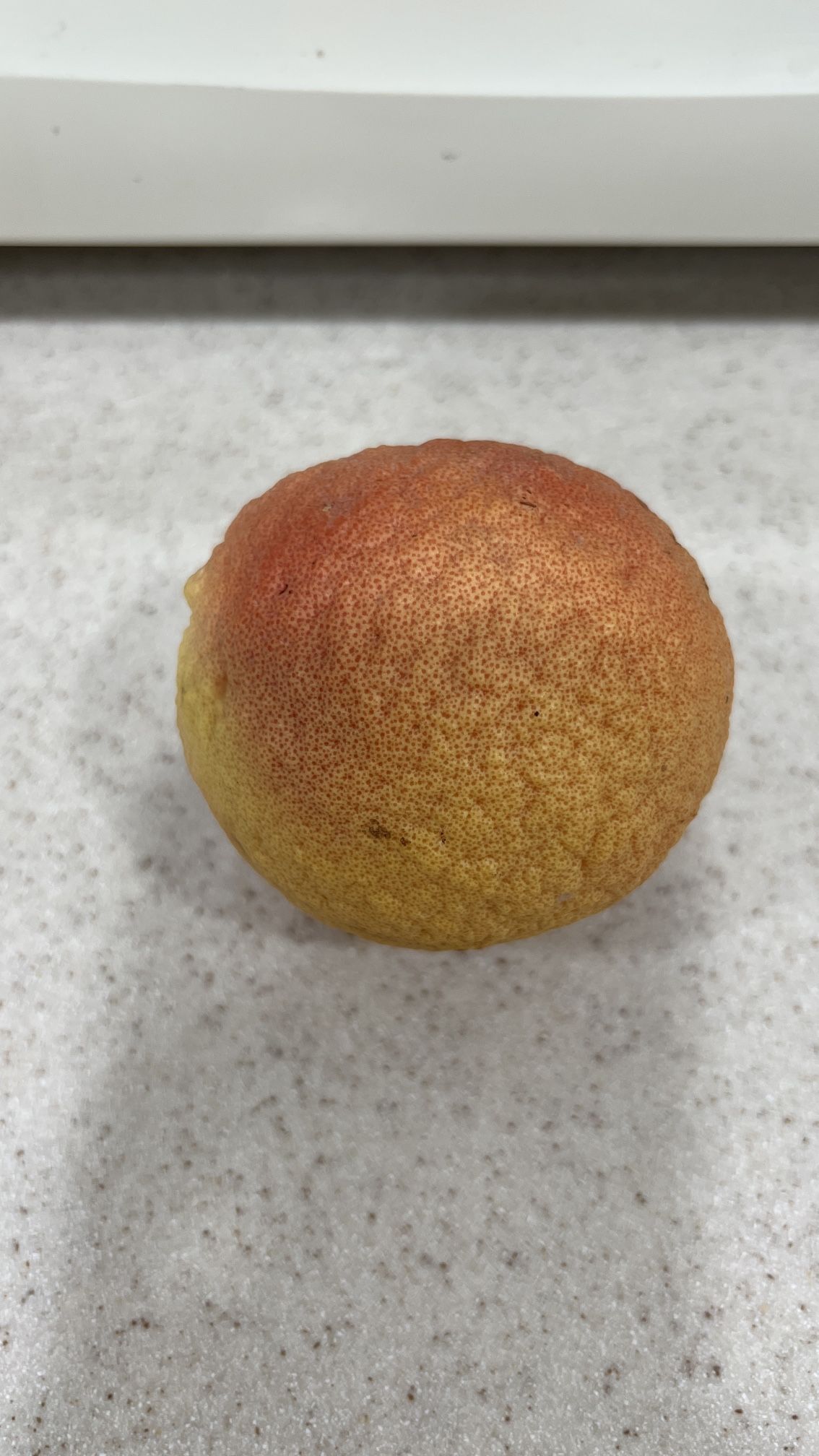 Free Sweet Grapefruit. U-pick