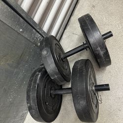 10Ib Dumbbell Weights