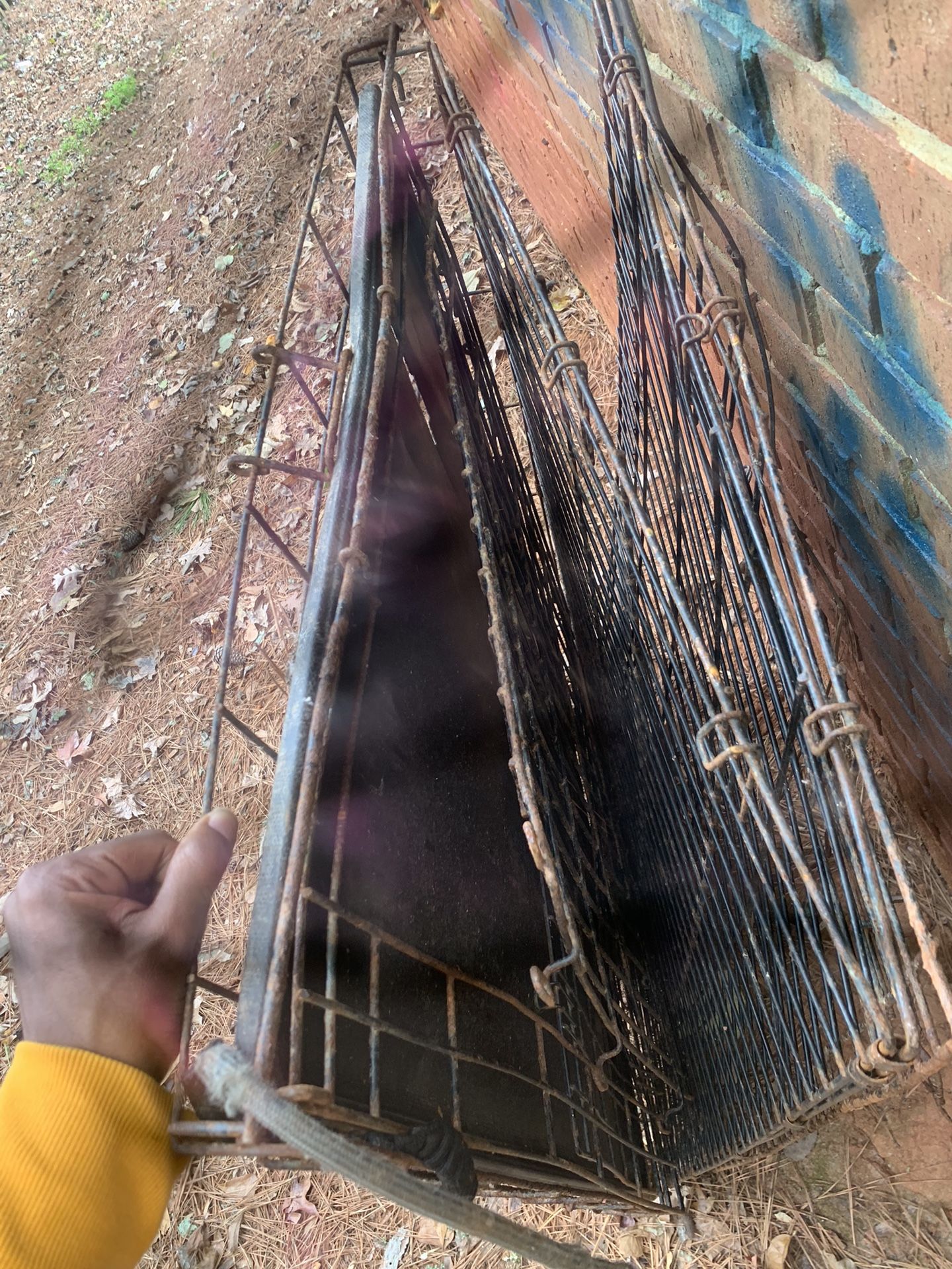 1 Large Dog Cage