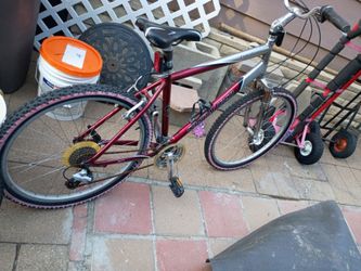 Mens Expedition bike