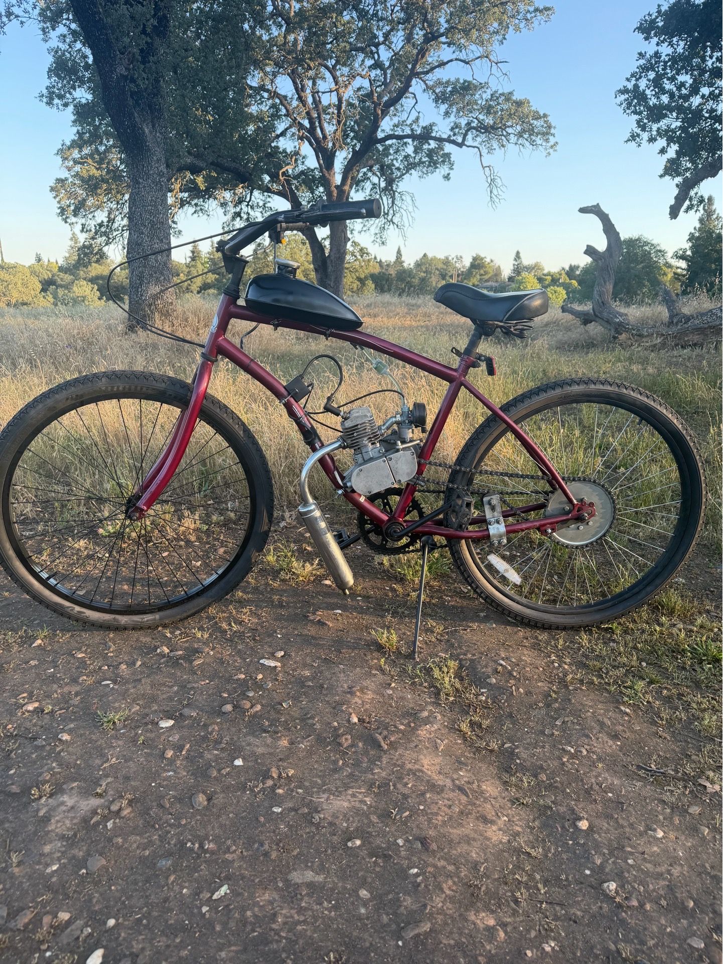 Motorized Bicycle