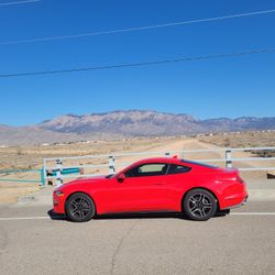 2020 Ford Mustang