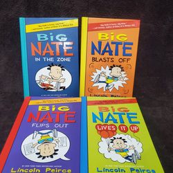 Lot Of Big Nate Books
