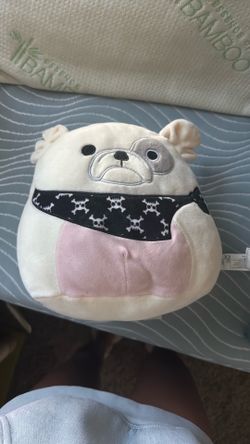 Pirate dog Squishmallow 6 inch