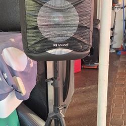 IQ Sound 12" Portable Bluetooth Speaker Pair with True Wireless Technology - Black