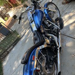 1991 harley davidson, custom