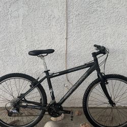 17 “ Rockhopper Comp