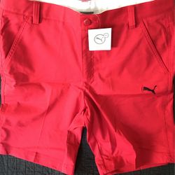 Puma Shorts Size 34 Brand New