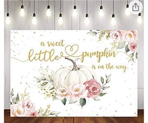 8x10” Back Drop For Baby Shower