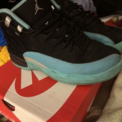 Teal Jordan 12s