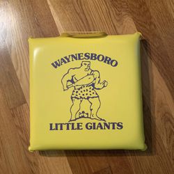 Waynesboro High School Little Giants Seat Cushion