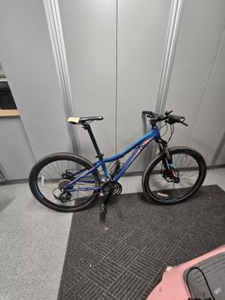 Woman Liv Bliss Bike