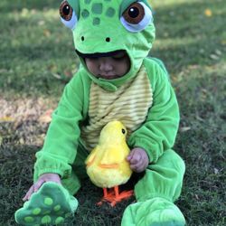 Sea Turtle Custome 12 Months