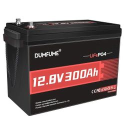 12V 300Ah Lithium LiFePO4 Battery,200A BMS 3840W Rechargeable Lithium Iron Phosphate Battery for Solar Energy Storage,Backup Power,RV,Camping