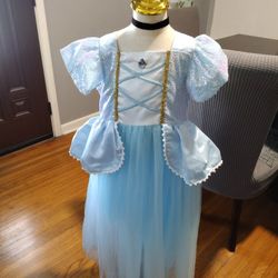 Cinderella.  Girl Birthday Party Costume 
