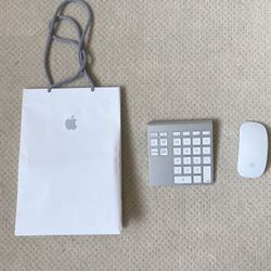 Apple Magic Wireless Mouse & Belkin YourType Bluetooth Keypad
