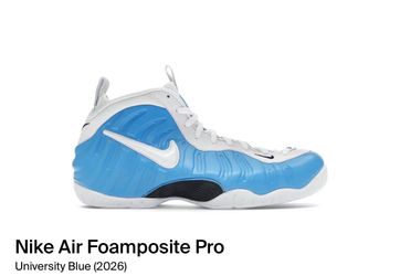 Nike Air Foamposite Pro HF0794 400 Size 15