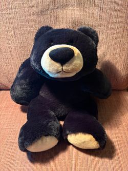 Teddy Bear