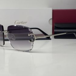 Silver Cartier Big C Sunglasses Buffalo Horn Glasses
