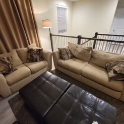 Sofa and Loveseat Set