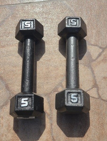 10 Lbs Metal Dumbbells