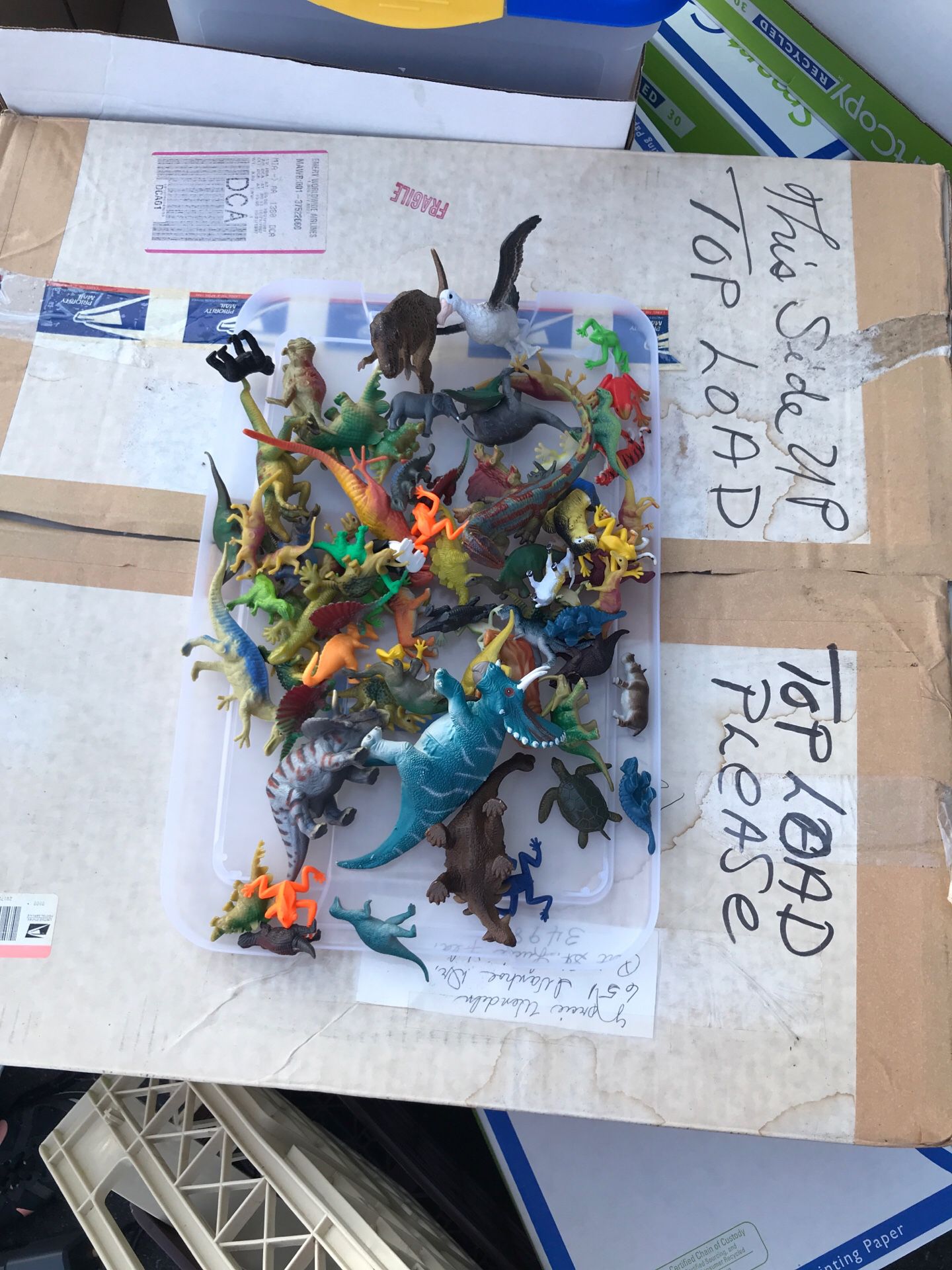 Plastic play toys animals dinosaurs