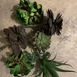 Succulents Silk