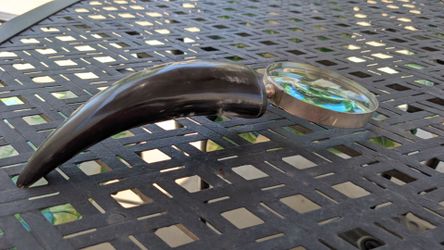 Animal Horn with Magnifying Glass