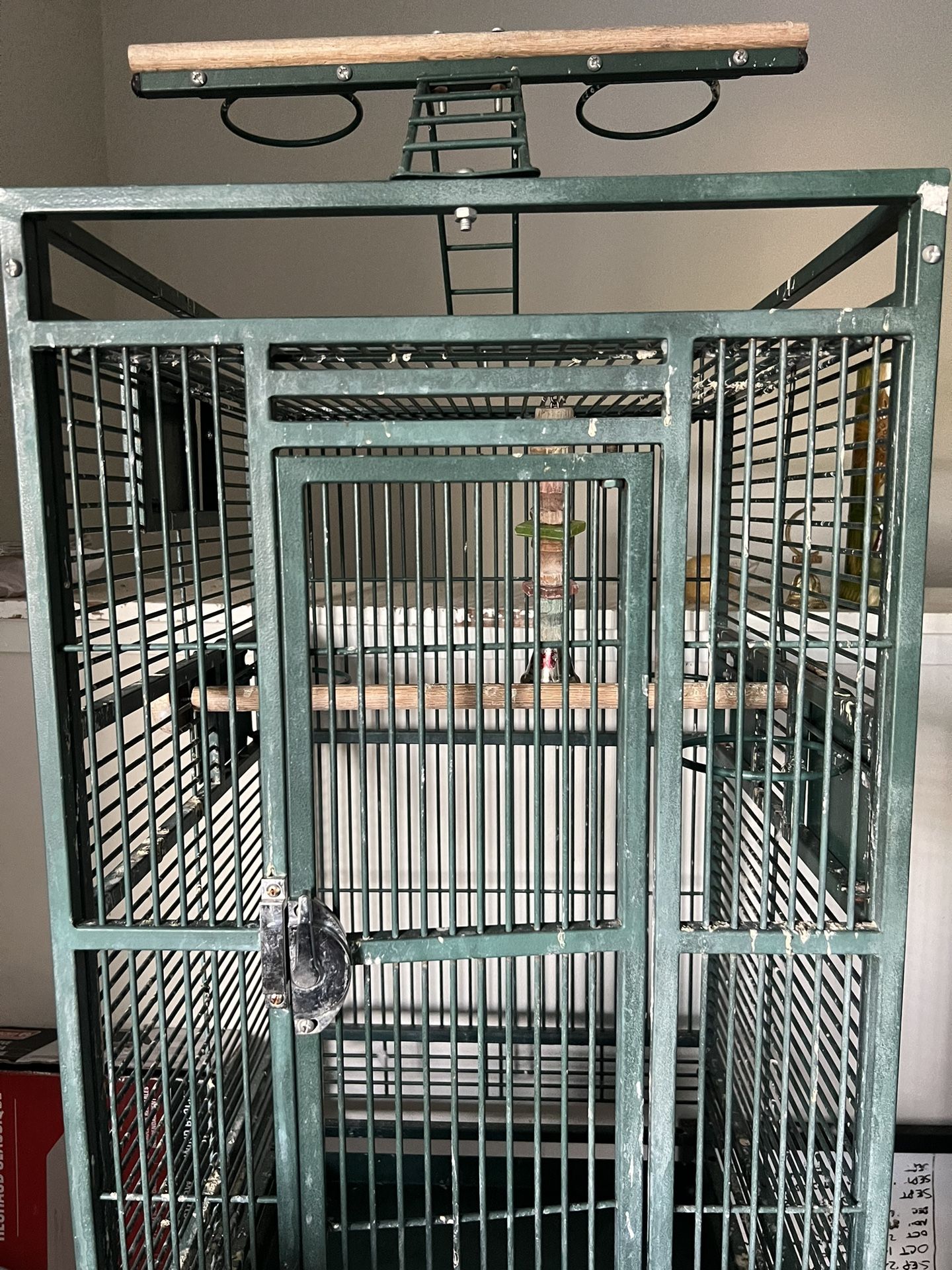 Bird Cage