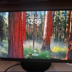 Lenovo Desktop Monitor