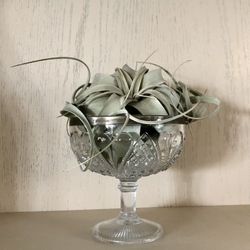 Crystal Cut Pedestal Bowl 