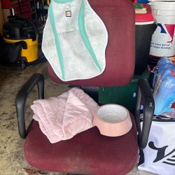 A Pink Bowl, A Pink Blanket, A Walking Vest For A Median Puppy
