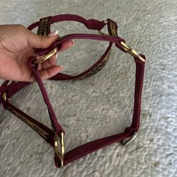 Cabezada Caballo
