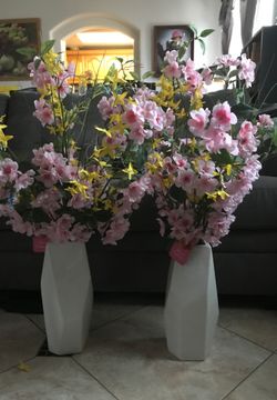 Decorative plants