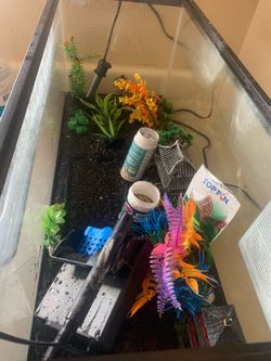 20gallon long with accessories