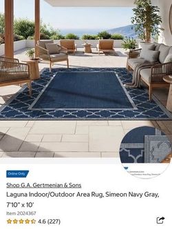 Elegant Laguna Indoor/Outdoor Area Rug