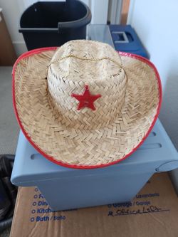 Sheriff Cowboy Hat Halloween Costume