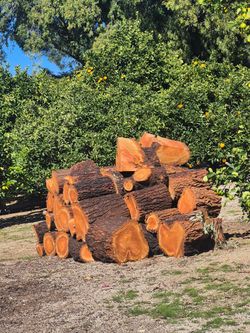 Free Wood Drop Off In Riverside