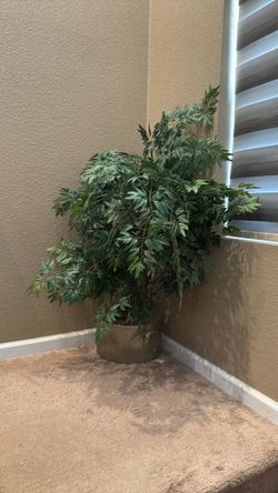 Artificial Fern Plant with Gold Pot