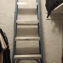 8 Ft Ladder
