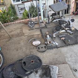 Weights And Bench, Olympic Bar 