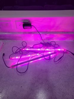 Plant lights