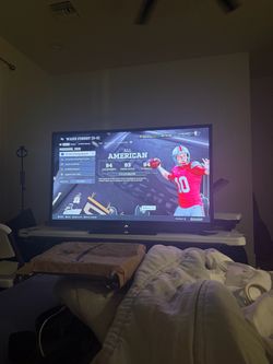Large Flat Screen TV