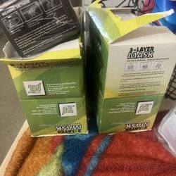 Disposable Face Mask 