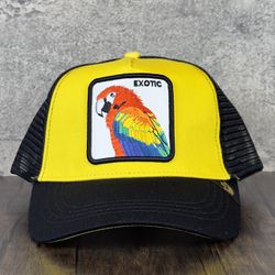 Goorin Bros The Farm Animal The Exotic Macaw Trucker Hat Exclusive Limited Holo Tags Labels New